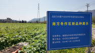 图片默认标题
